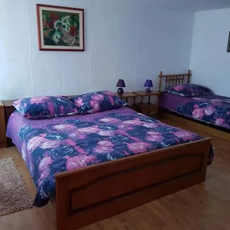 Kuca Za Odmor Tomic *